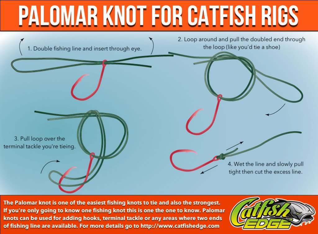 Best Fishing Knot For Swivel at Sam Fields blog