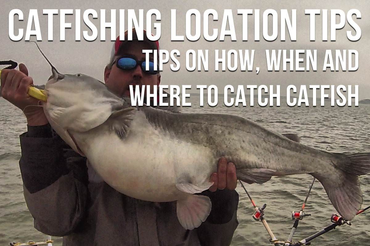 Catfishing Tips: The Ultimate List Of Catfishing Tips