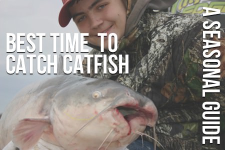 The Best Time To Catch Catfish: Seasonal Guide