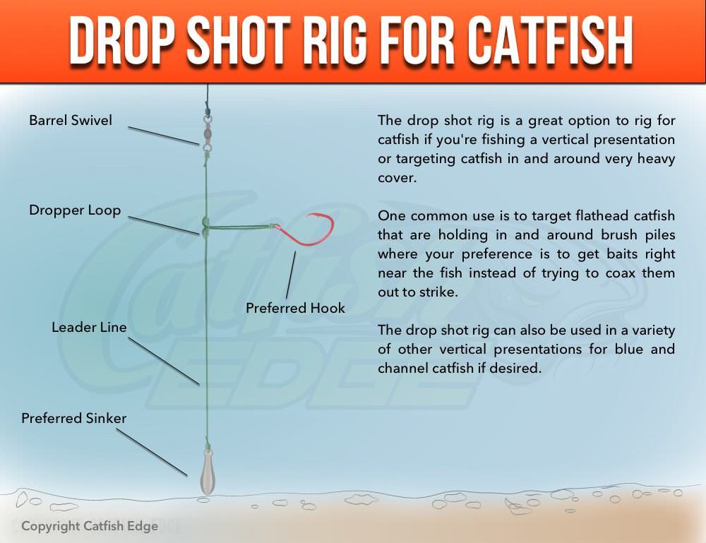 Hook Line and Sinker Fishing Tackle home of The First Cast